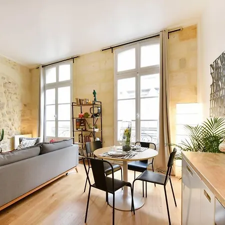 Grand 2 Pieces Entre Vieux Et Quais ! Apartmán Bordeaux